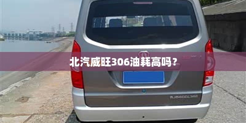 北汽威旺306油耗高吗？