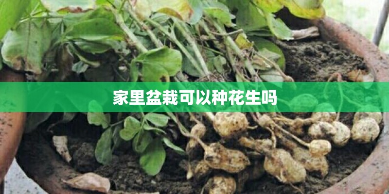 清远温泉十大排名
