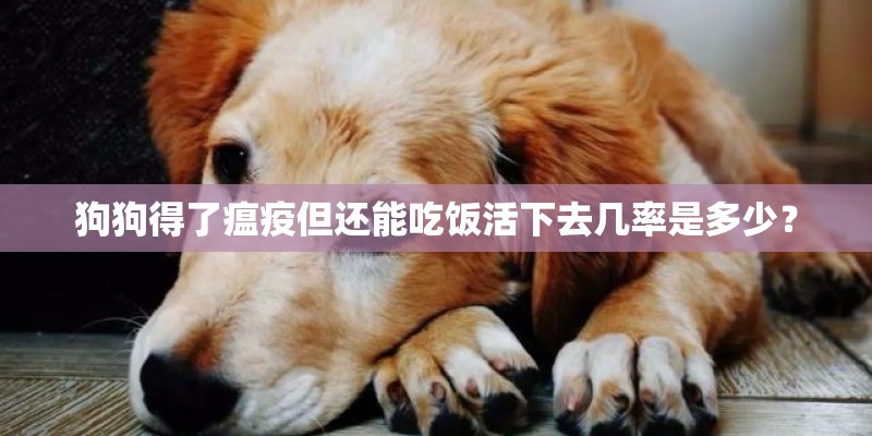 狗狗得了瘟疫但还能吃饭活下去几率是多少？