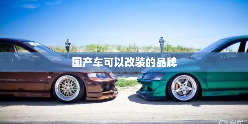国产车可以改装的品牌 国产车可以改装的品牌