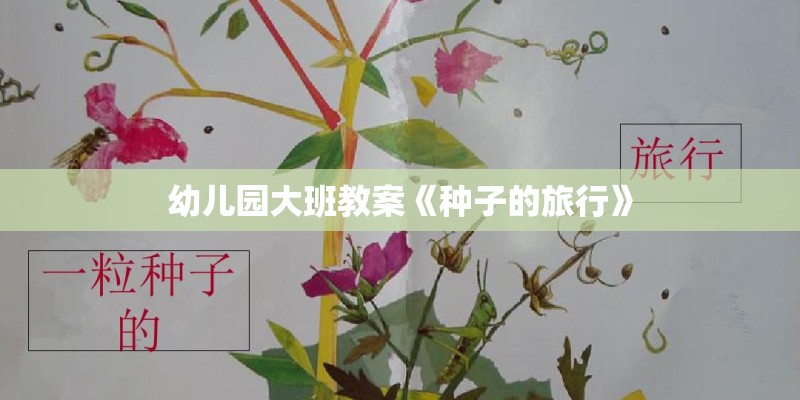 幼儿园大班教案《种子的旅行》