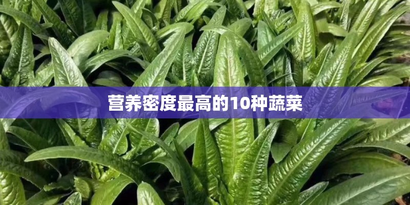 营养密度最高的10种蔬菜