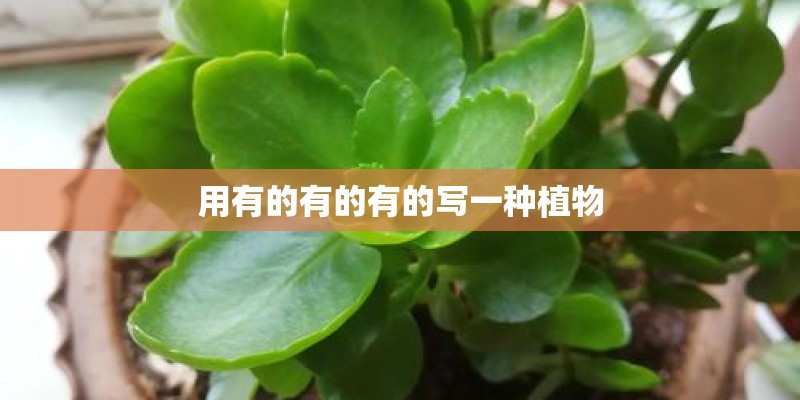 用有的有的有的写一种植物