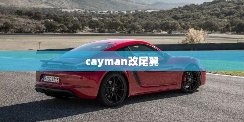 cayman改尾翼