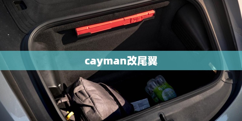 cayman改尾翼