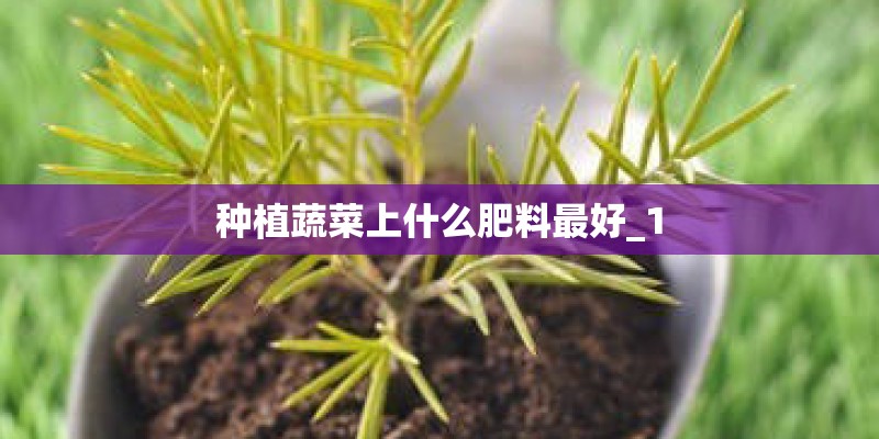 松菌菇种植技术是什么？