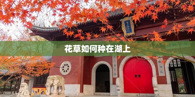 花草如何种在湖上