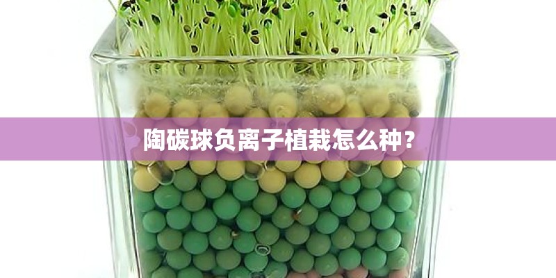 陶碳球负离子植栽怎么种？