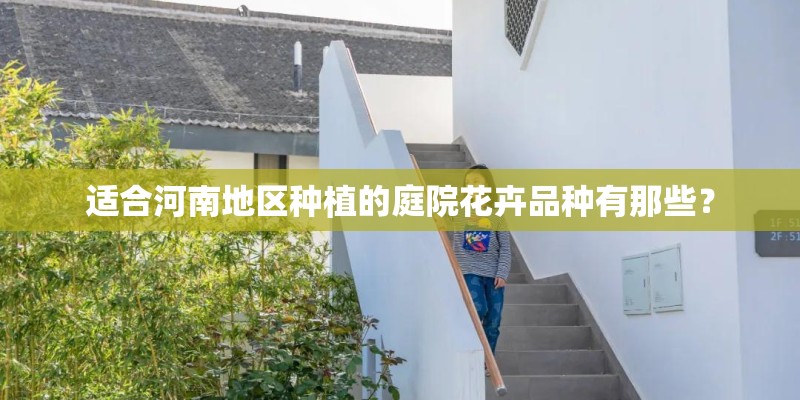 松菌菇种植技术是什么？