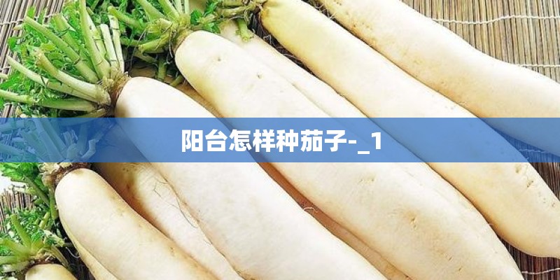 阳台怎样种茄子-_1