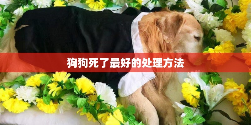 狗狗死了最好的处理方法