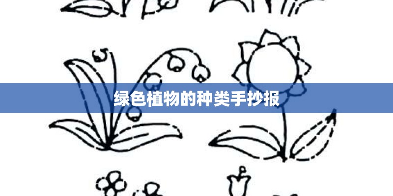 绿色植物的种类手抄报