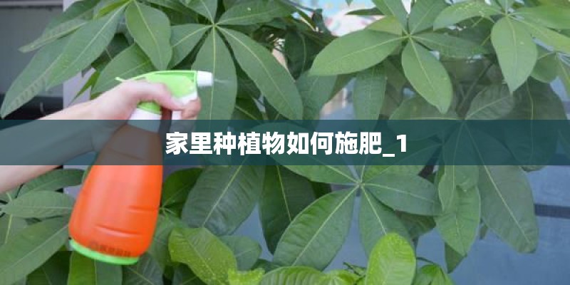 家里种植物如何施肥_1