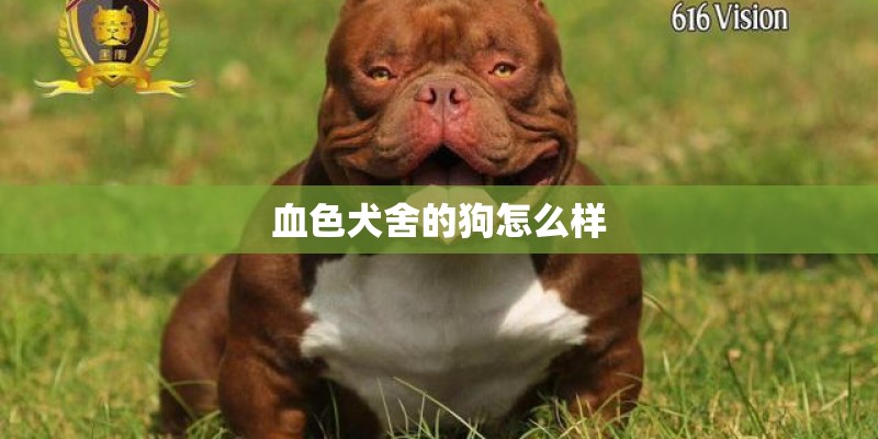 血色犬舍的狗怎么样