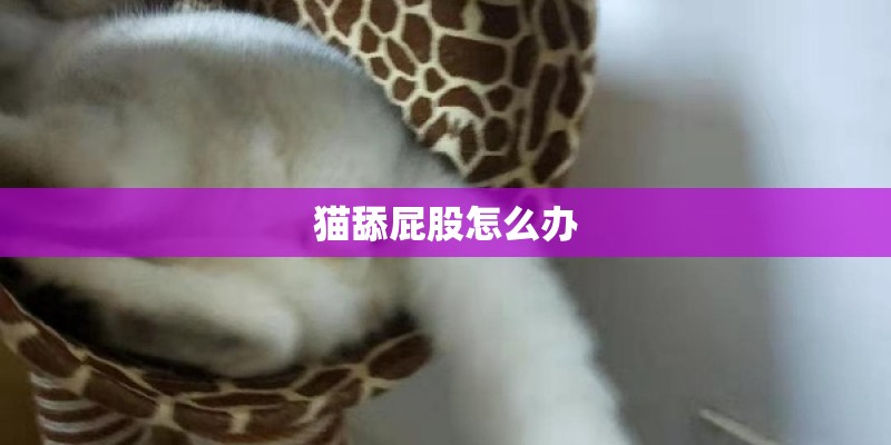 猫舔屁股怎么办