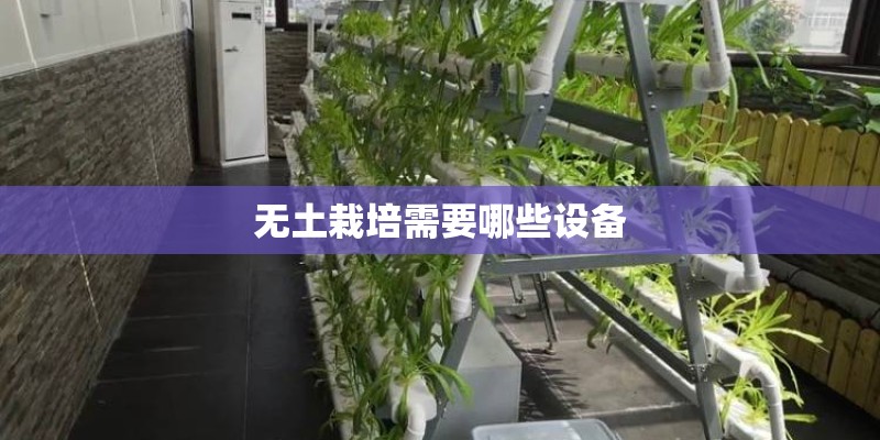 无土栽培需要哪些设备