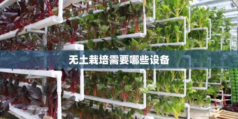无土栽培需要哪些设备