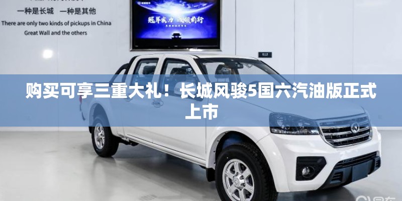 购买可享三重大礼！长城风骏5国六汽油版正式上市