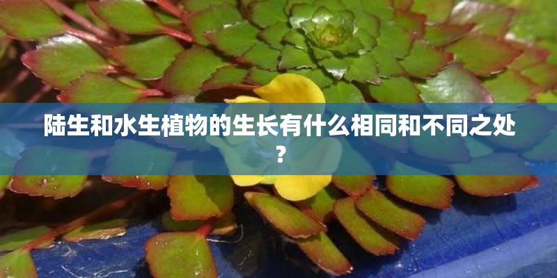 陆生和水生植物的生长有什么相同和不同之处？