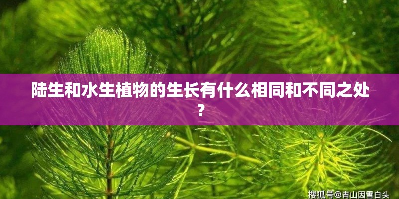 陆生和水生植物的生长有什么相同和不同之处？