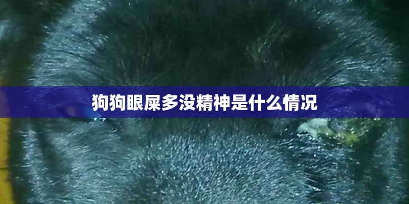 狗狗眼屎多没精神是什么情况