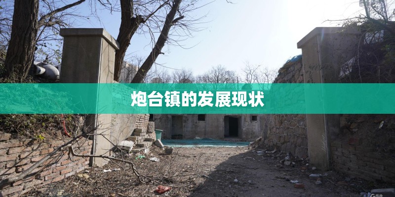 炮台镇的发展现状