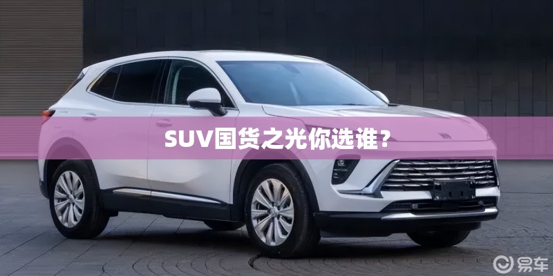 SUV国货之光你选谁？