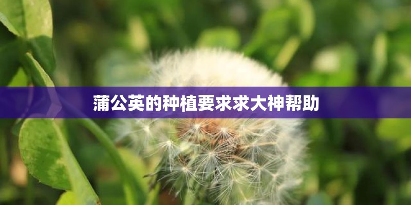 蒲公英的种植要求求大神帮助 蒲公英的种植要求求大神帮助