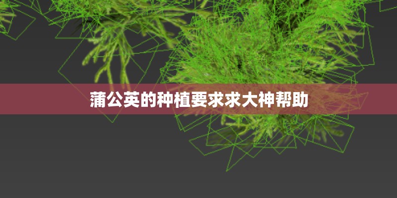 蒲公英的种植要求求大神帮助 蒲公英的种植要求求大神帮助