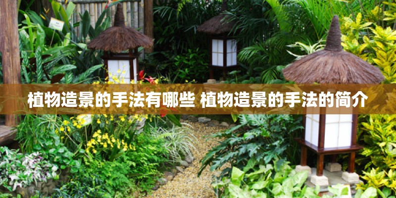 植物造景的手法有哪些 植物造景的手法的简介