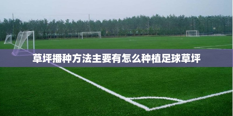 草坪播种方法主要有怎么种植足球草坪