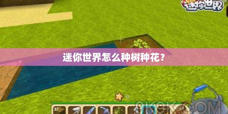 迷你世界怎么种树种花？