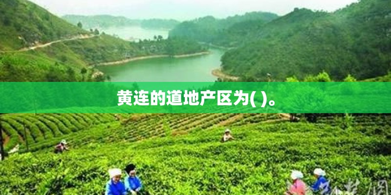 黄连的道地产区为( )。 黄连的道地产区为( )。