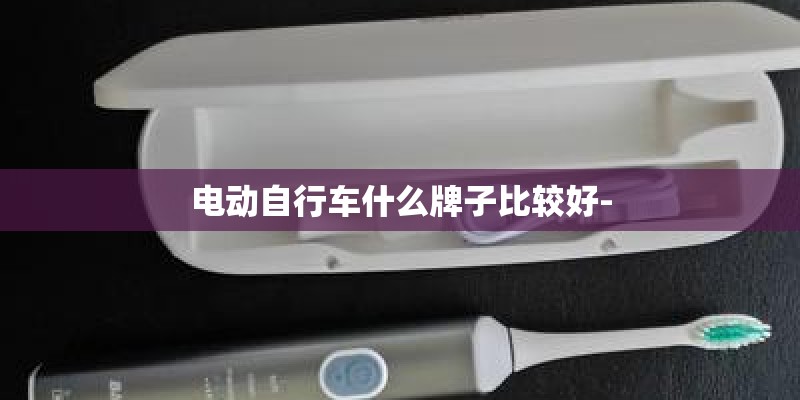 电动自行车什么牌子比较好- 电动自行车什么牌子比较好-
