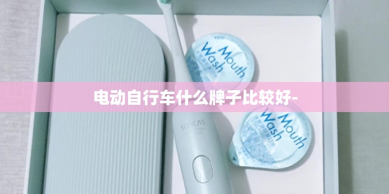 电动自行车什么牌子比较好- 电动自行车什么牌子比较好-