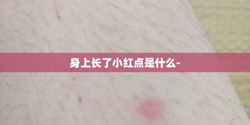 身上长了小红点是什么-