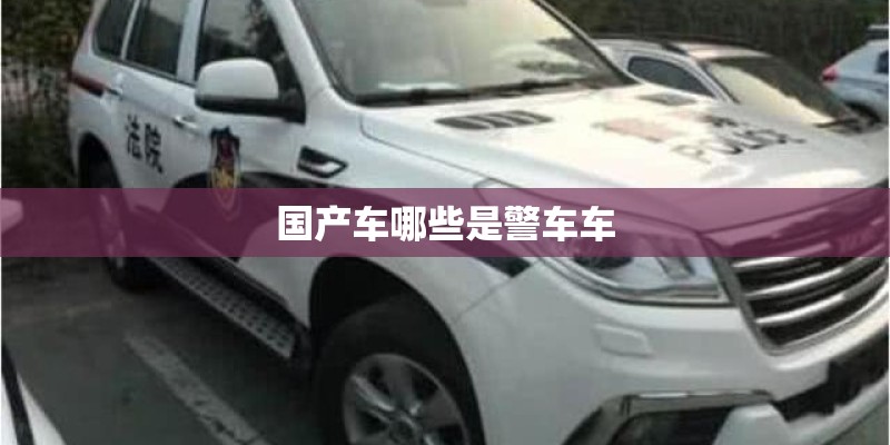 国产车哪些是警车车