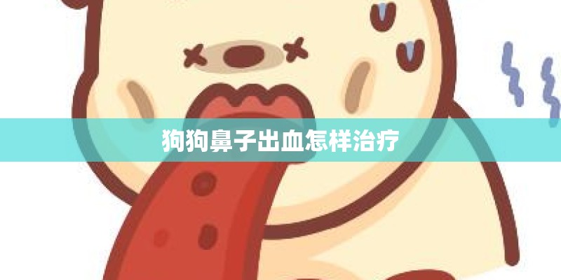 狗狗鼻子出血怎样治疗
