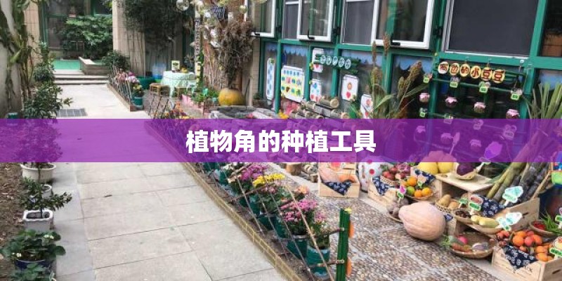 植物角的种植工具