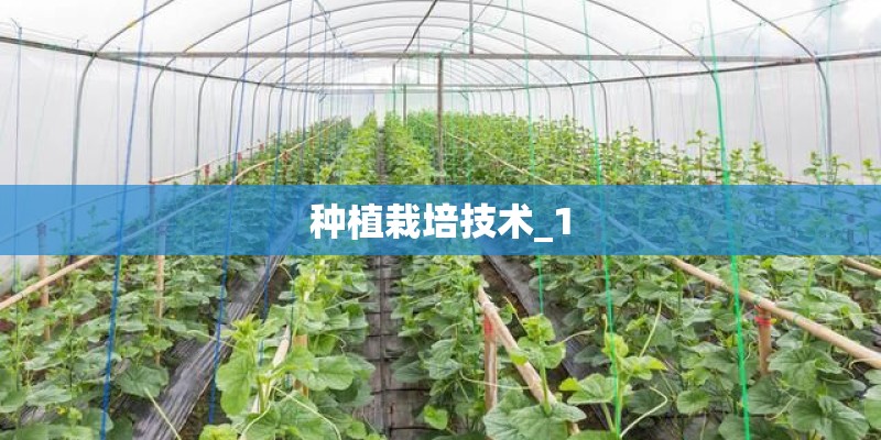 种植栽培技术_1