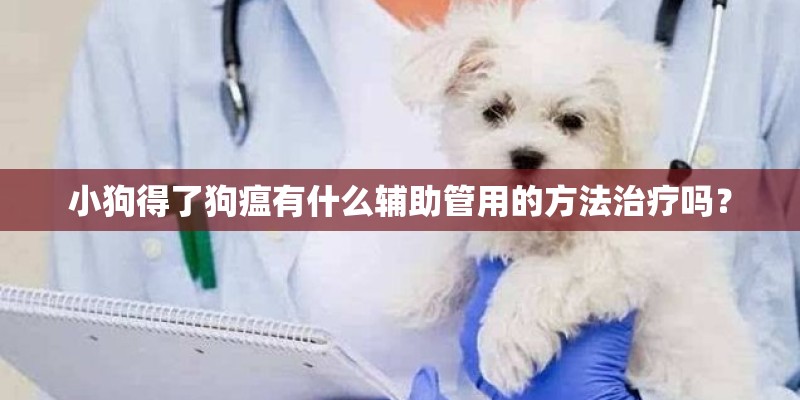 小狗得了狗瘟有什么辅助管用的方法治疗吗？