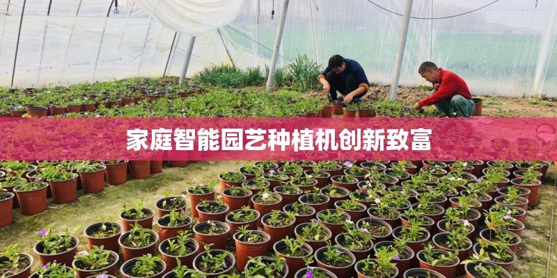家庭智能园艺种植机创新致富