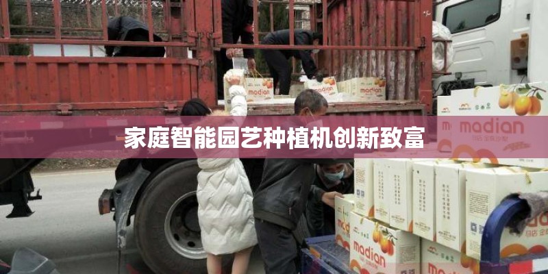 家庭智能园艺种植机创新致富