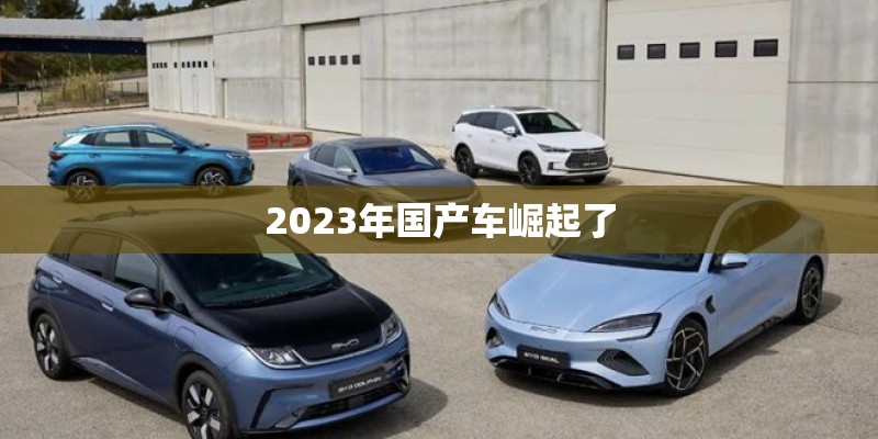 2023年国产车崛起了