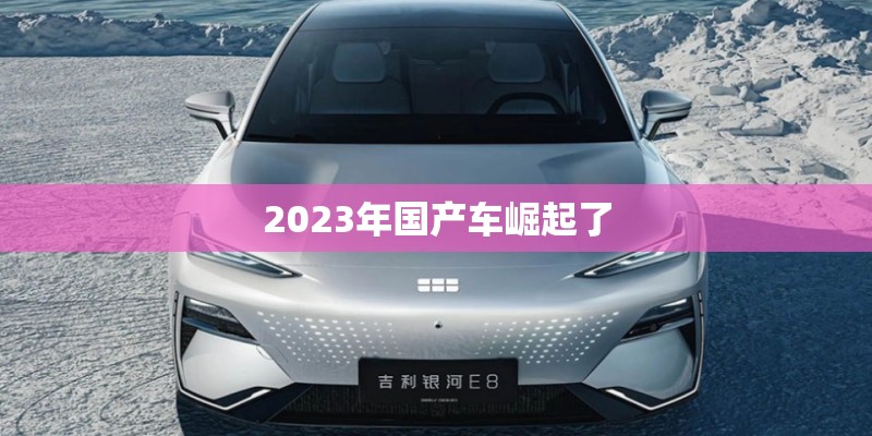 2023年国产车崛起了