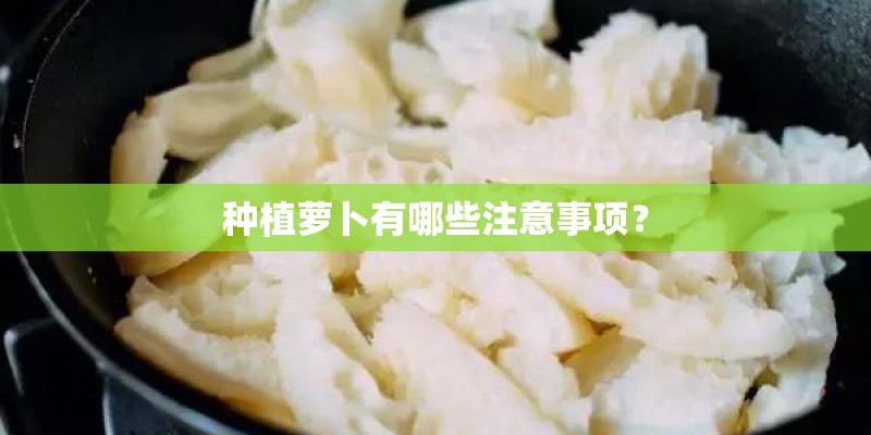 种植萝卜有哪些注意事项？