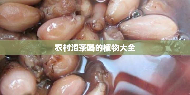农村泡茶喝的植物大全