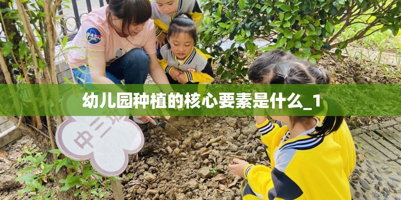 幼儿园种植的核心要素是什么_1