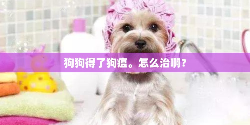 狗狗得了狗瘟。怎么治啊？