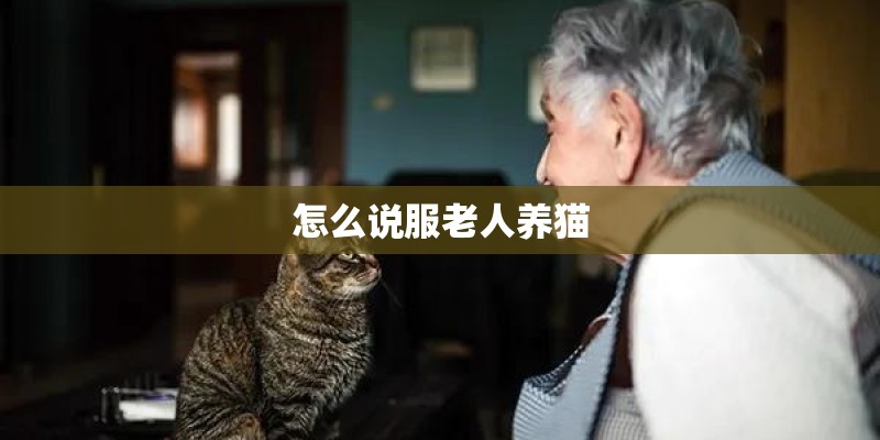 怎么说服老人养猫